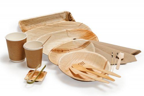 Hoja de palma
Fuente renovable. Compostable UE2019/904
¿Qué es la hoja de palma?
Los artículos de hoja de palma están hechos de los desechos que aparecen durante el proceso de crecimiento de las palmas de la India: hojas de palma que caen naturalmente. Estas hojas se limpian y se moldean en platos, bandejas y cuencos a altas temperaturas. Los artículos de hoja de palma tienen un sabor neutro y son resistentes al aceite, la humedad y la congelación.
Productos únicos
Los productos hechos de hoja de palma tienen una estructura y un diseño únicos. ¡Presentar tu comida en un plato o bandeja de hoja de palma es un festín para los ojos!
Aptos para horno y microondas
La hoja de palma es uno de los pocos materiales sostenibles que es resistente a altas temperaturas. Los artículos de hoja de palma se pueden utilizar en hornos y microondas a una temperatura de hasta 200°C.