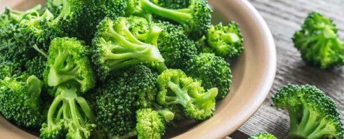 Envases de fibra de trigo