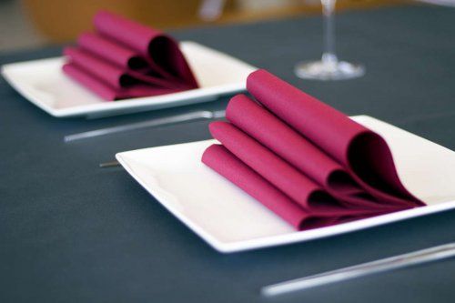 Air Laid es un tejido que se utiliza para la fabricación de manteles y servilletas de calidad superior. Es un tejido fabricado con fibras de celulosa y una resina especial. los manteles fabricados son la Gama alta del mundo del papel y la decoración de mesas.
Air Laid para los salones más exclusivos
Los manteles y servilletas son el sustitutivo de los manteles de tela de toda la vida. Es un tejido con gofrado especial, tacto suave, gran absorbencia y diseño elegante. Son manteles y servilletas mucho más económicos que los manteles y servilletas de tela que se han utilizado toda la vida. Los manteles de tela se tienen que planchar y lavarlos. Son tan económicos que no te molestaras en plancharlos y lavarlos directamente los tiraras a la basura.
  